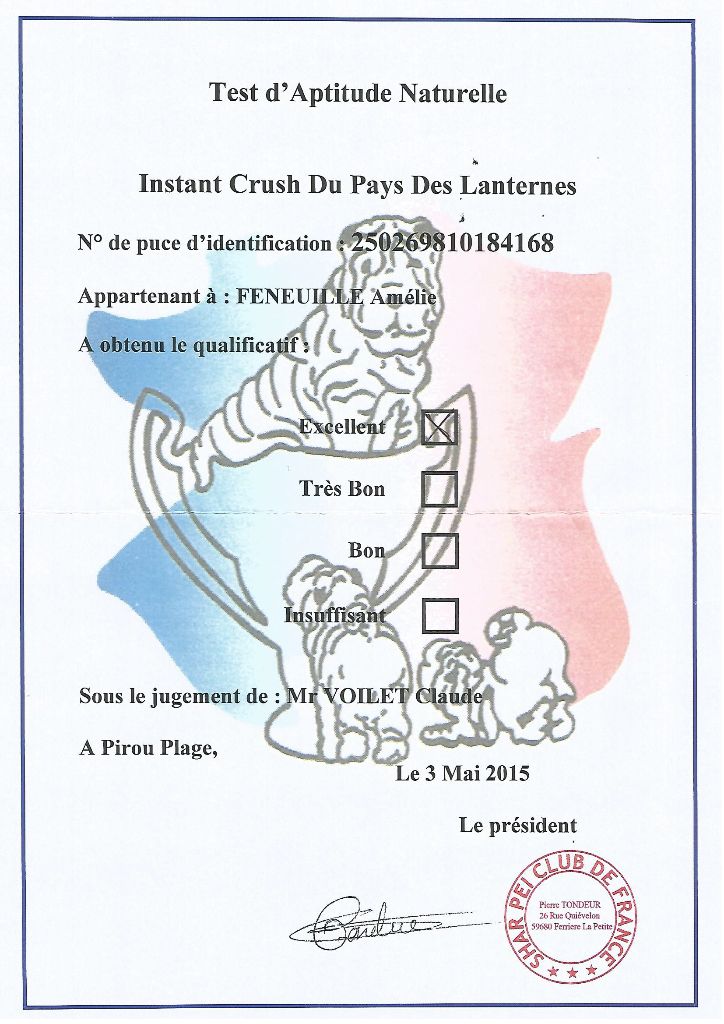 CH. Instant crush Du Pays Des Lanternes